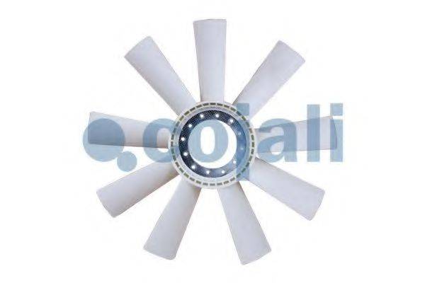 COJALI 7067128