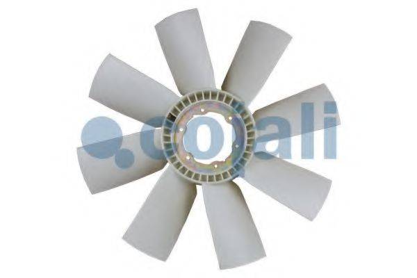 COJALI 7077108