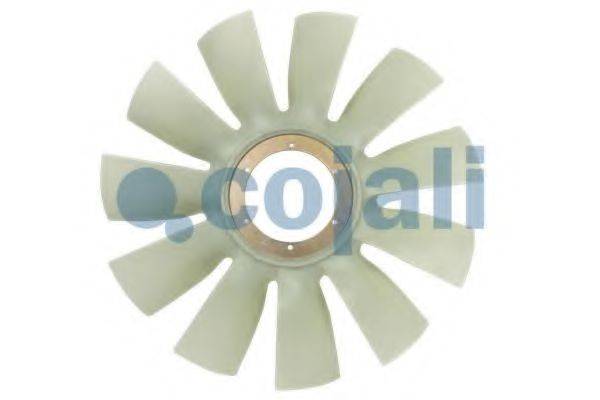 COJALI 7077110