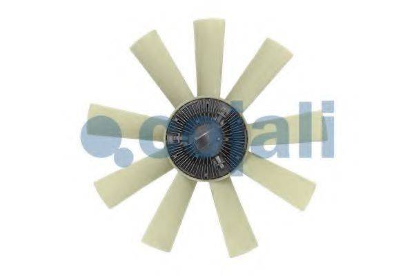 COJALI 7085117