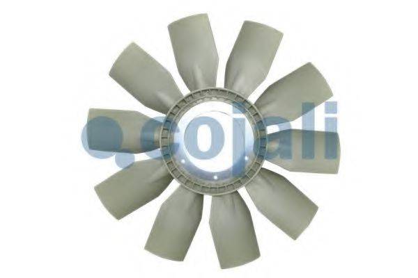 COJALI 7087104