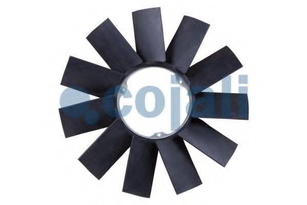 COJALI 8111602