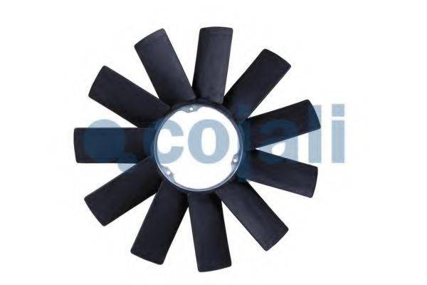 COJALI 8111607