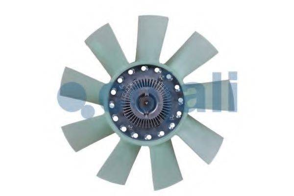 COJALI 8114101