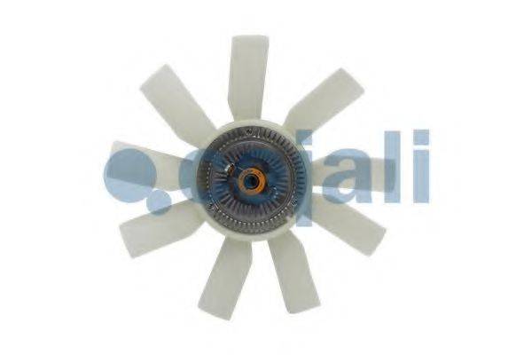 COJALI 8124126
