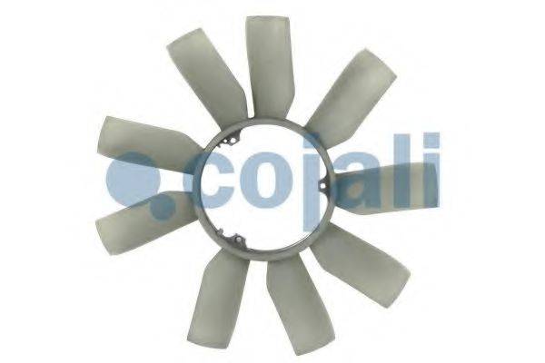 COJALI 8124613