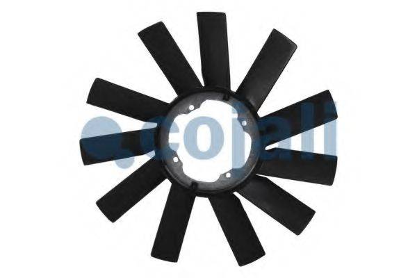 COJALI 8127602