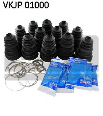 SKF VKJP 01000