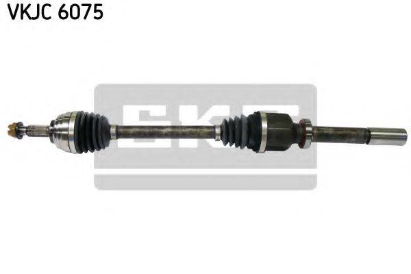 SKF VKJC 6075
