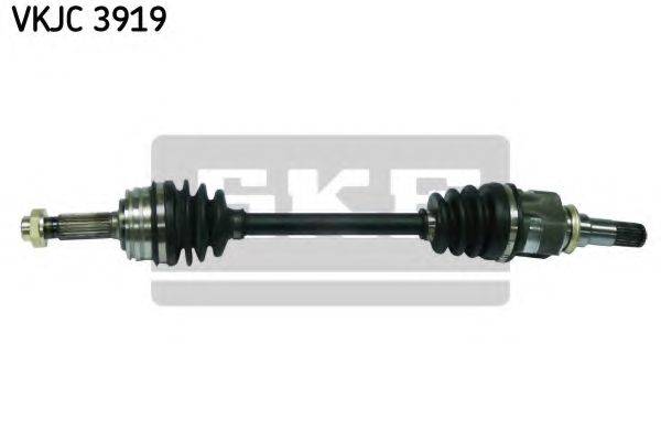 SKF VKJC 3919