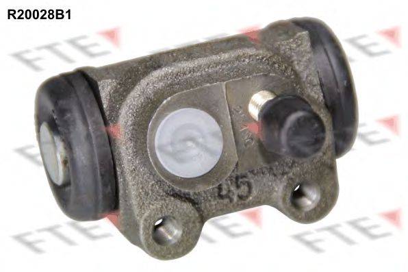 FTE R20028B1
