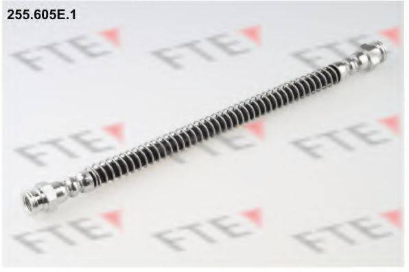 FTE 255.605E.1