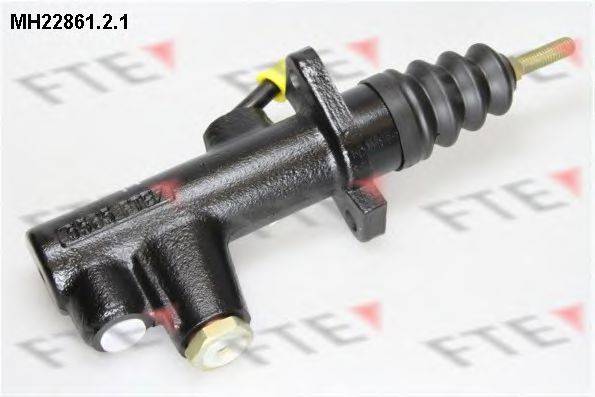 FTE MH22861.2.1