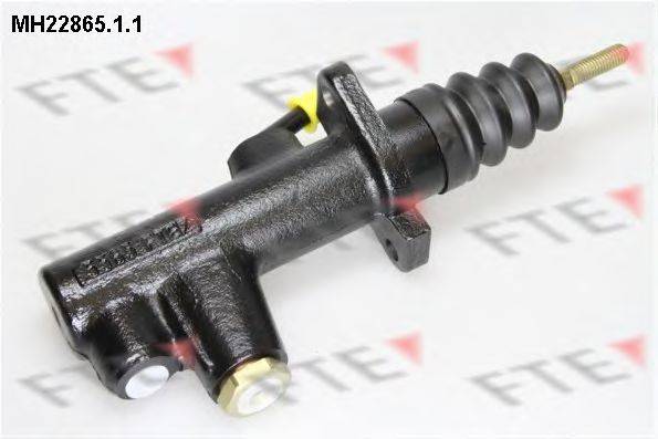 FTE MH22865.1.1