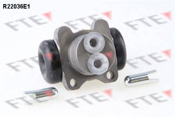 FTE R22036E1