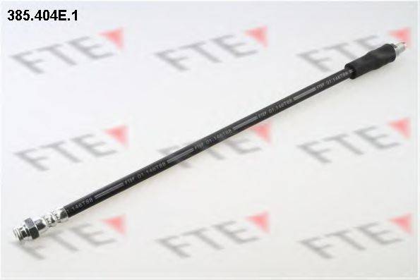 FTE 385.404E.1