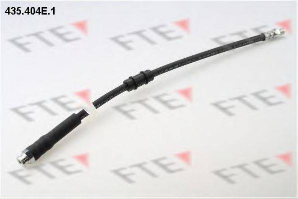 FTE 435.404E.1
