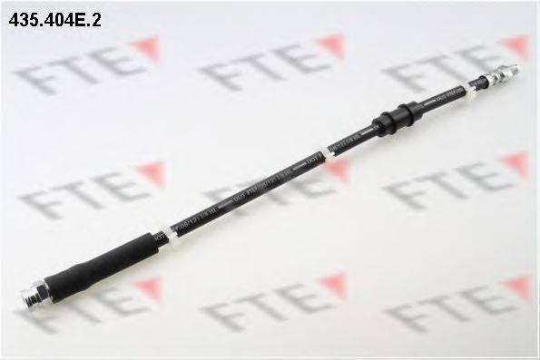 FTE 435.404E.2
