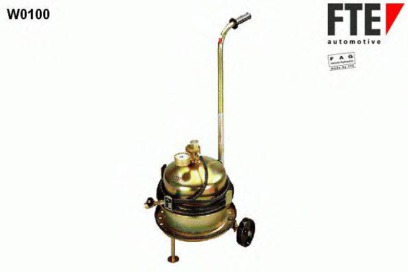 FTE W0100
