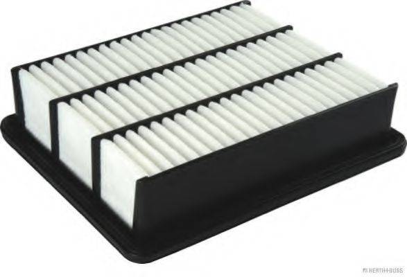 FILTRON AP1137 Повітряний фільтр