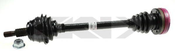 LOBRO 303155