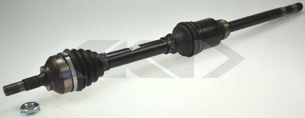 LOBRO 303580