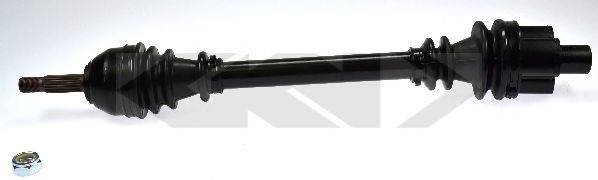 LOBRO 301869