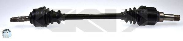 LOBRO 303463