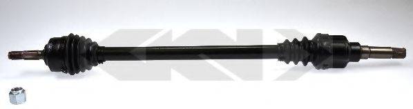 LOBRO 303466