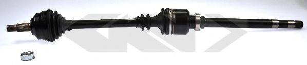 LOBRO 303680