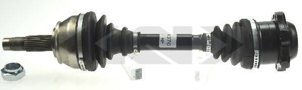 LOBRO 304370