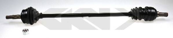 LOBRO 304399