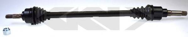 LOBRO 304571