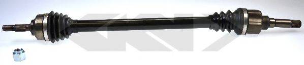 LOBRO 304577
