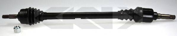 LOBRO 304585
