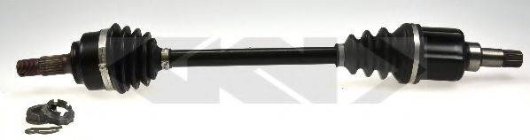 LOBRO 304588