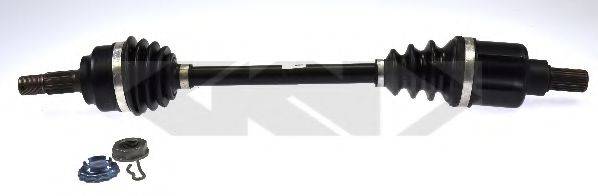 LOBRO 304594