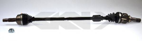 LOBRO 304787