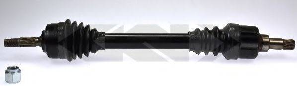 LOBRO 304793