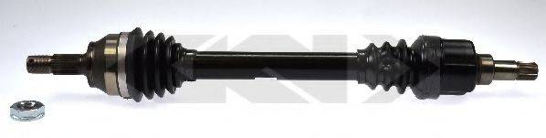 LOBRO 304795