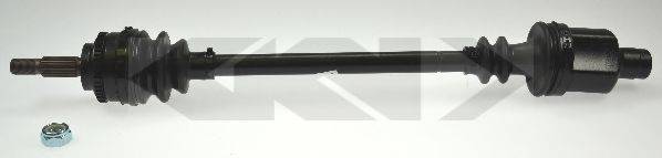 LOBRO 304972