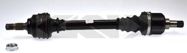 LOBRO 305039