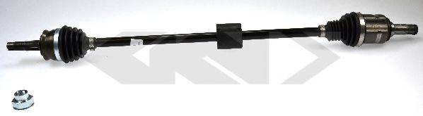 LOBRO 305060