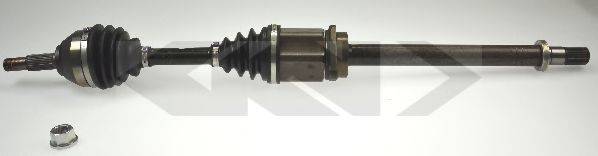 LOBRO 305163