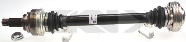 LOBRO 305189