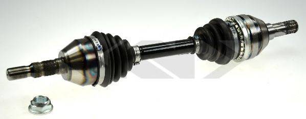 LOBRO 305205