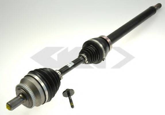 LOBRO 305560