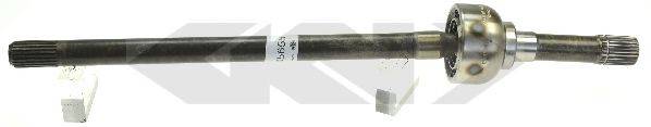 LOBRO 305654