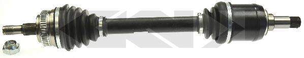 LOBRO 305657