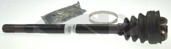 LOBRO 305810